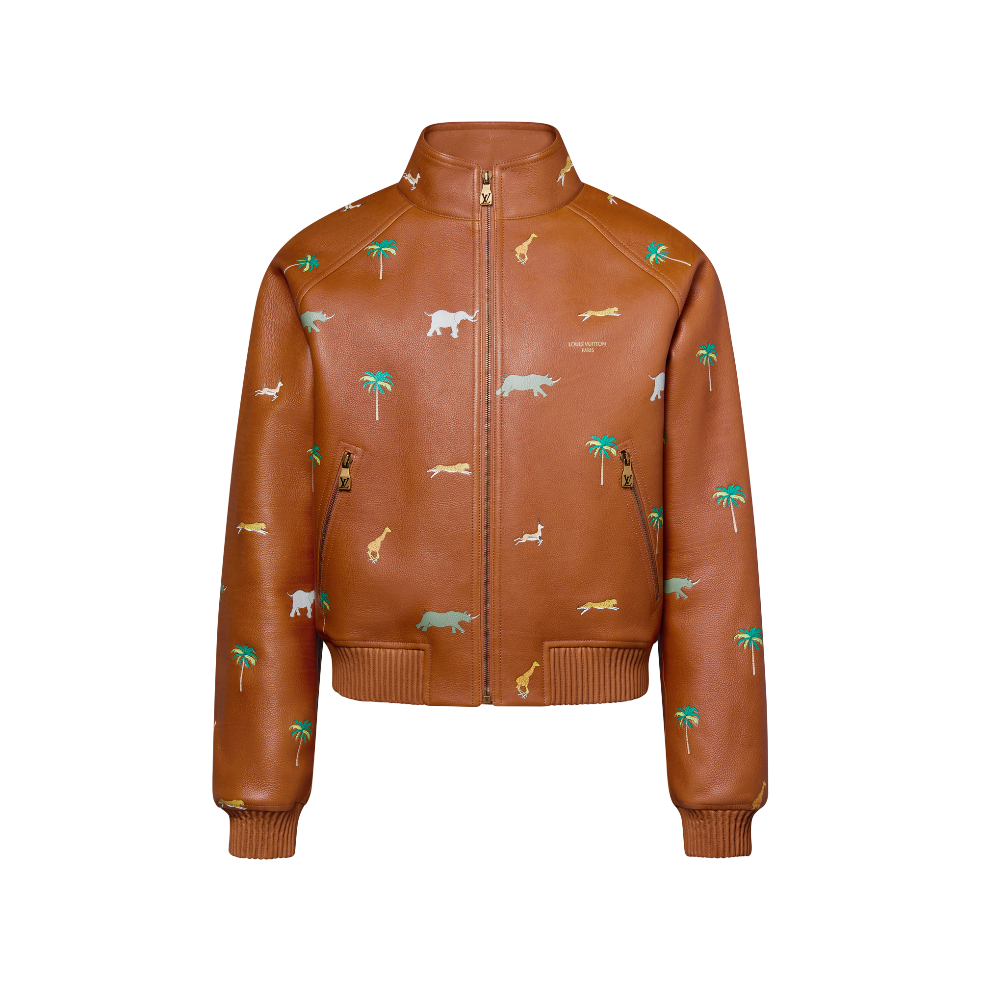 Made To Order LV x The Darjeeling Limited Printed Leather Blouson